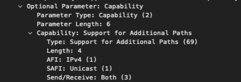 Optional Parameter: Capability Support for Additional Paths